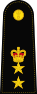 File:Lieutenant colonel (Vishwamitra) - OF-4.svg