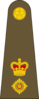 West Canadian Army Lieutenant Colonel