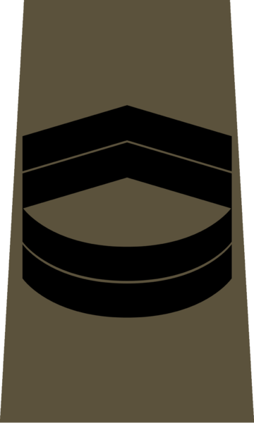 File:M.S.D.F. CFC Rank.png