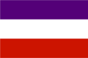 Flag of Montage Alliance