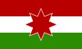 Flag used by the Snagovian Hungarian community