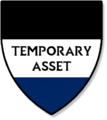 Temporary Asset