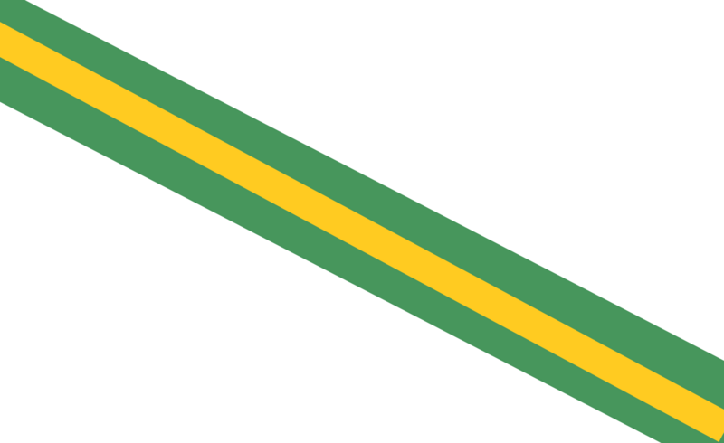 File:Flag of Necarusam.png