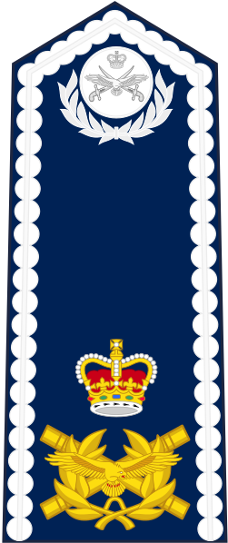 File:Queenslandian-Air force-OF-10-collected.svg