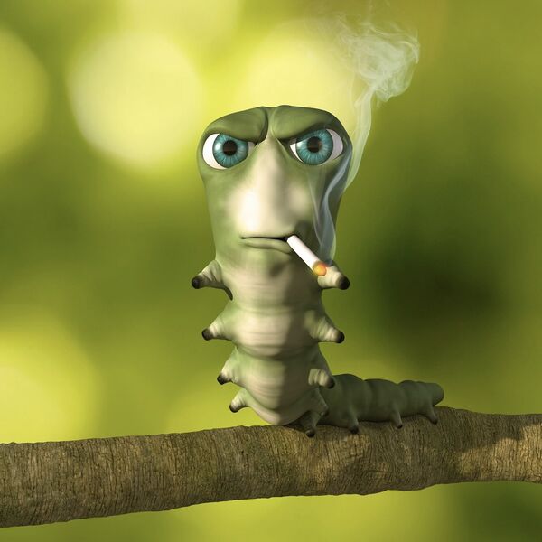File:Smoking Caterpillar Square.jpg
