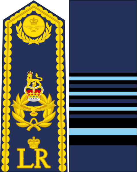 File:Air Chief Marshal (Wellmoore).png