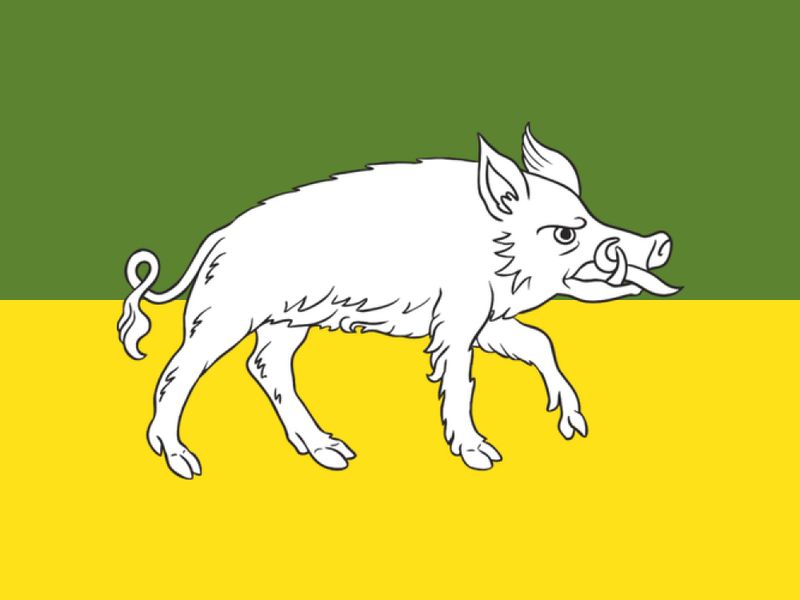 File:Flag of Orientia.jpg