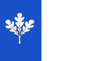 Flag of Blue Oak