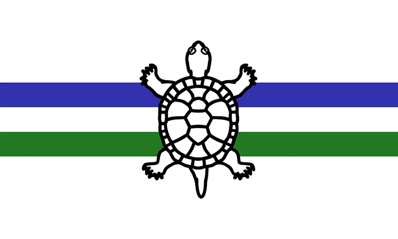 File:Flag of the Noodle Patchwork Family.png