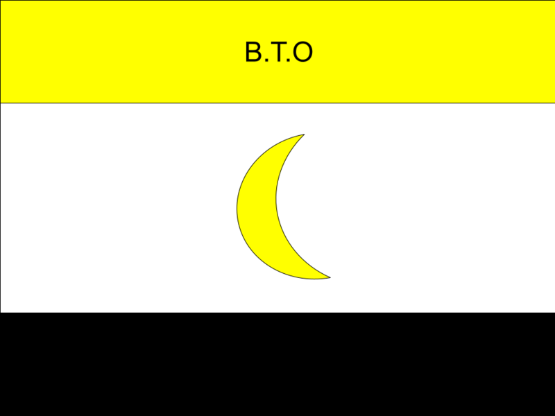 File:Banana Teaching Organization Flag.png