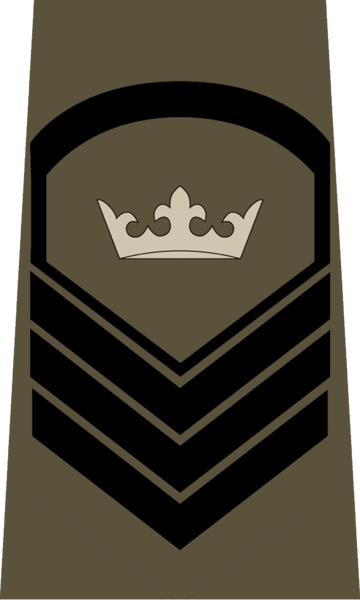 File:M.S.D.F. CPT Rank.png