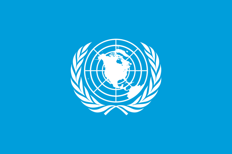 File:Flag of the UNEM.png