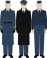 Air Force's Casual/Parade Uniform