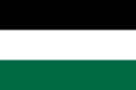 Flag of Free Republic of Bir Tawil