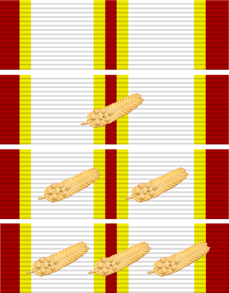 File:1 - 4 Class Ribbon of Red Cross Medal (Queensland).png