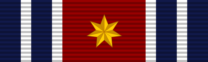 File:National Service Medal 4th Class.png