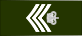 File:Ikonia-Army-OR6-infobox.svg