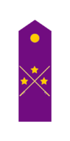 Division general