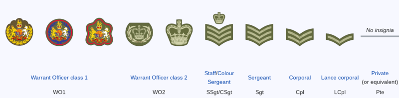File:Wellmoorean Army Other Ranks.png