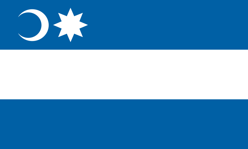 File:Flag of Piscu.svg