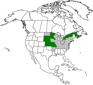Coleraine in green, the other member states of the NAMCO in grey.
