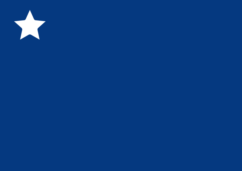 File:Flagge Conservaal.png