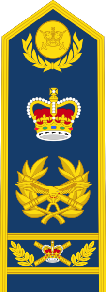 File:Marshal of the Royal Air Force (Queensland).svg