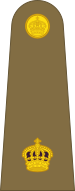 File:Baustralia Army OF-3.svg