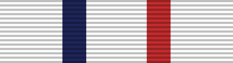 File:Ribbon of Color Guard Participation.svg