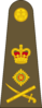 West Canadian Army General