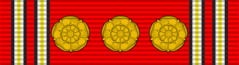 File:Scout Medal 4.png
