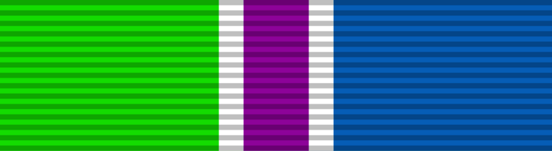 File:Medal of Honor Ribbon Bar.png