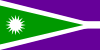 Flag of Thomasville