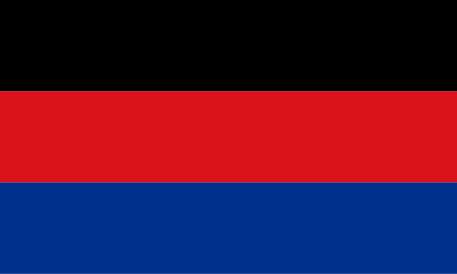 File:Flag of Duckionary.svg
