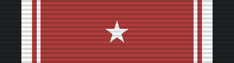 File:High Honor Service Medal.png