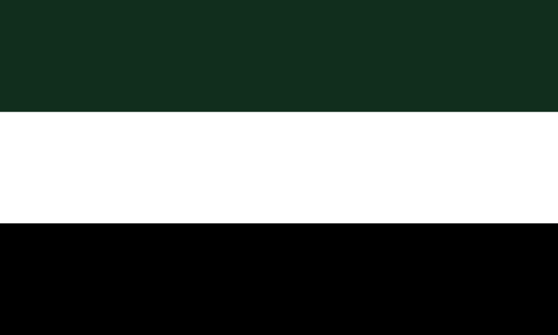 File:Flag of Corginia.png