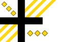 Flag of Commonwealth of Novo-Erecteutolectrocia