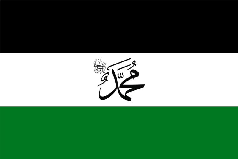 File:Kingdom of Hashemia Flag of 2013.png