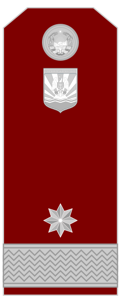 File:Colonel general - Snagov (Navy).svg