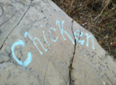 Chicken Graffiti