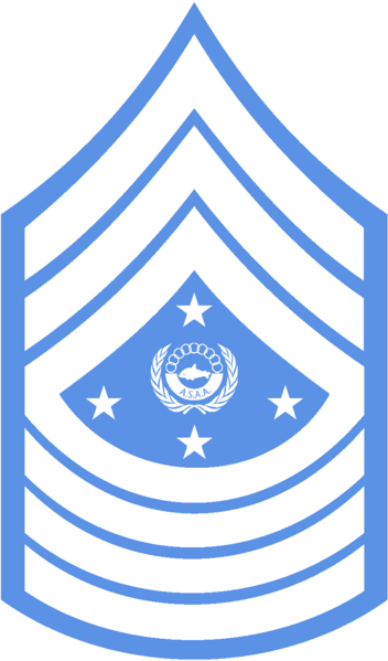 File:UAR General of the Army Patch.png