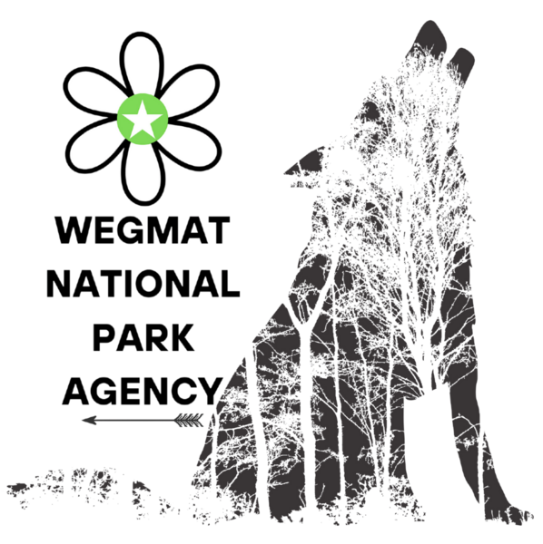 File:WNPA Logo.png