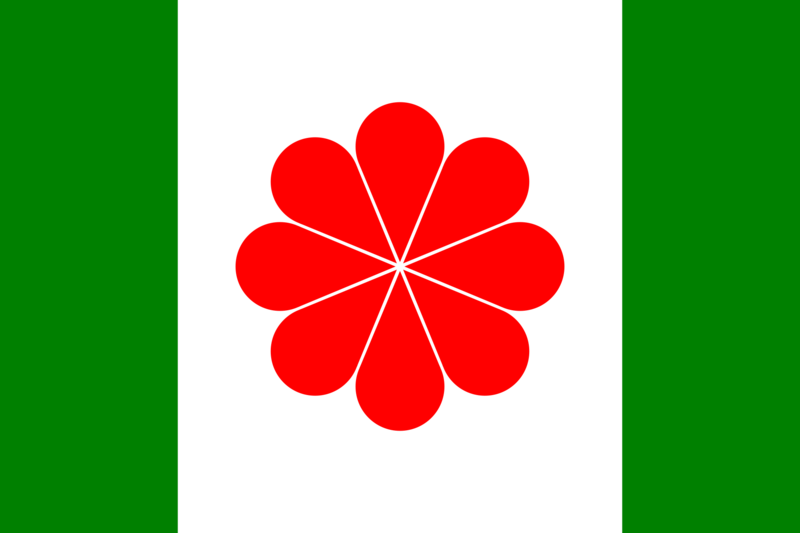File:Flag of the Republic of Canton.png
