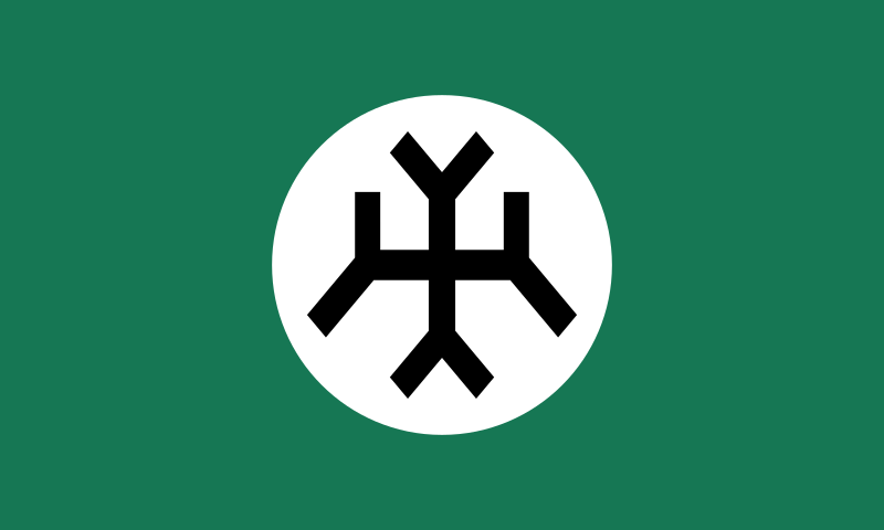 File:Flag of the National Snagovist Front.svg