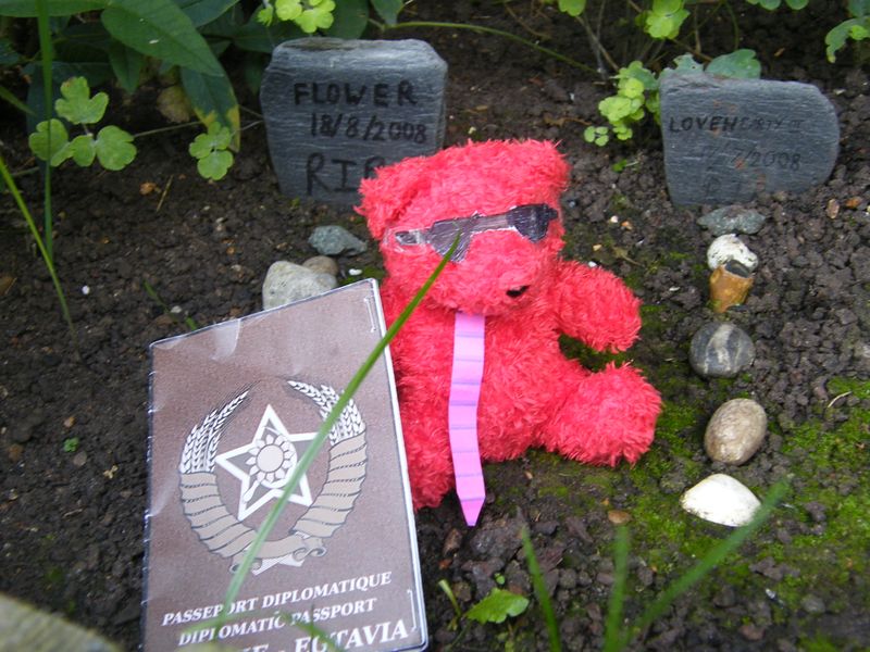 File:In Wrythe Pet Cemetery.JPG