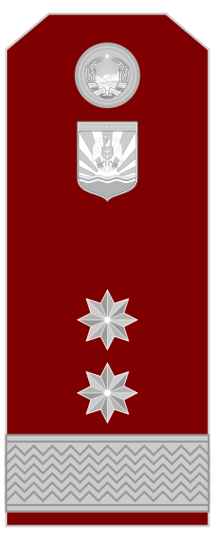 File:Army general - Snagov (Navy).svg