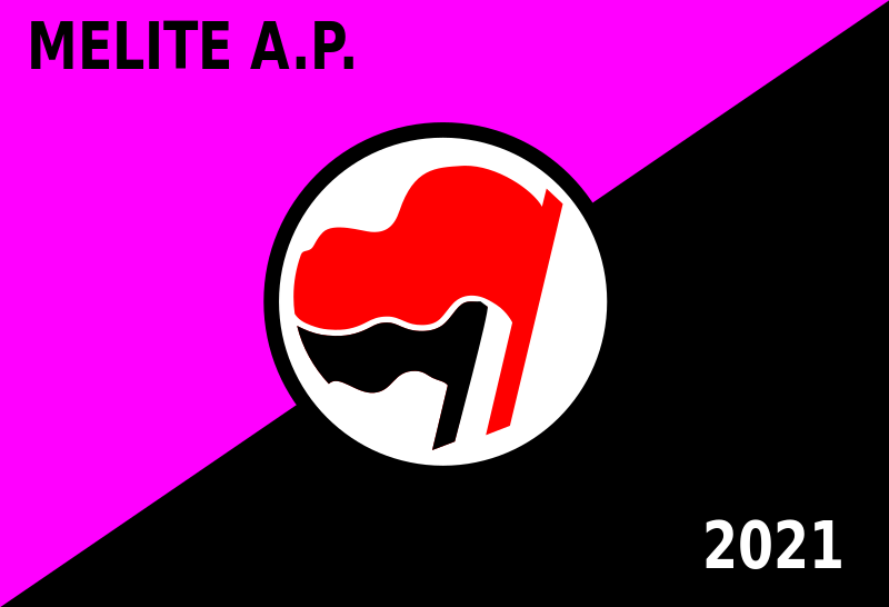 File:Anarchist Party Flag.svg