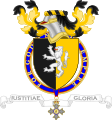 Coat of arms of Deivisson Buttigheri Floriano.svg