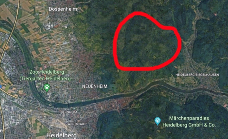 File:Borders of the Heidelberg colony.png