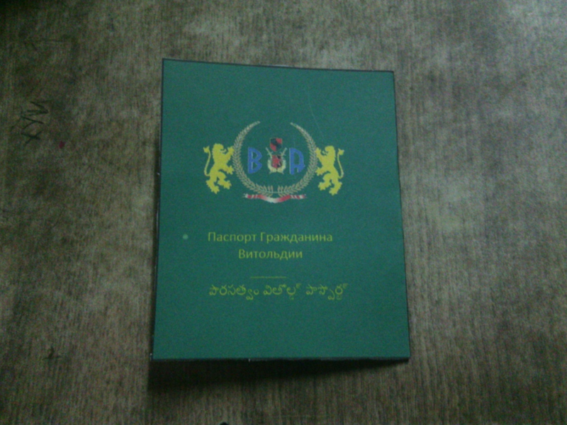 File:Паспорт 2016.png